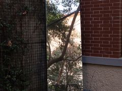 -胶囊画廊