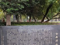 -环城公园-琥珀潭