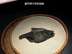 -湖北省博物馆