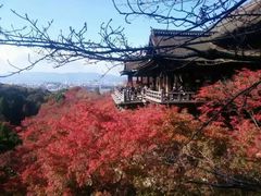 -名古屋城