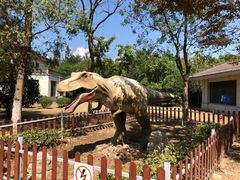 -上海海湾国家森林公园