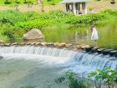 -广州市石门国家森林公园