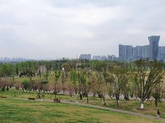 -桂溪生态公园