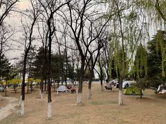 -青龙湖公园