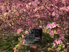 -海棠花溪(元大都城垣遗址公园)
