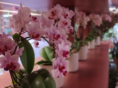 -二酉书店TOYOU BOOKS