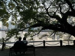 -江心屿景区