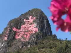 -长寿村