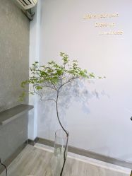 点击看大图 -组合发型