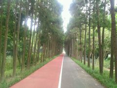 -上海长兴岛郊野公园