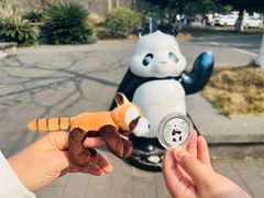 -都江堰中华大熊猫苑