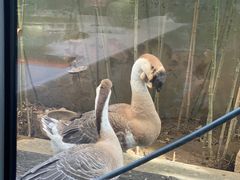 -春记潮汕牛肉火锅
