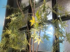 -渝乡辣婆婆·川菜 水煮鱼(中山西路店)