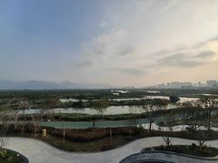 -三垟湿地
