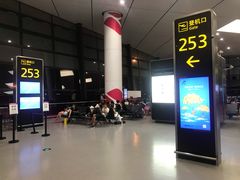 -郑州新郑国际机场-T2航站楼