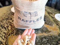 -Long Bar(莱佛士酒店)