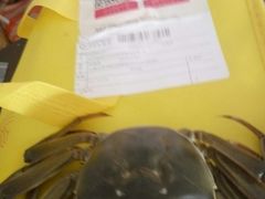 -蟹臻鲜阳澄湖大闸蟹(889广场店)
