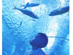 -多彩贵州城极地海洋世界