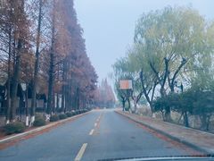 -太阳岛度假酒店
