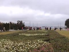 -莫斯科大学