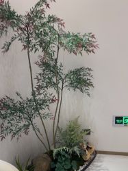 -路堤·普拉提