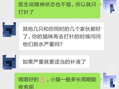 -小呆的宠物店·宠物售卖·宠物寄养(城西店)
