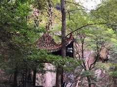 -花岩国家森林公园