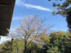 -热田神宫