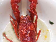-海岛八号龙虾烧烤田鸡(蓝天路总店)
