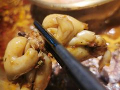 -新哥老官·畅吃123·美蛙世界(苏宁广场店)