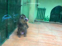 -荆州中山公园动物园