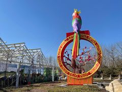 -南宫五洲植物乐园