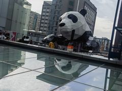 -大龙燚火锅(春熙店)