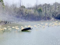-上海吴淞炮台湾国家湿地公园