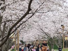 -长田漾湿地公园