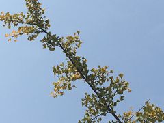 -中家鑫园温泉酒店鑫悦汤泉