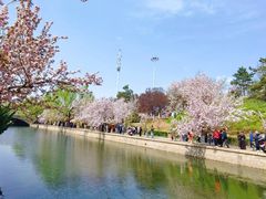 -元大都城垣遗址公园