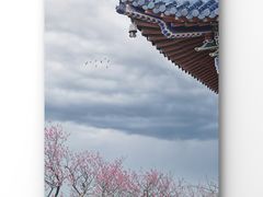 -梅花山(明孝陵内)