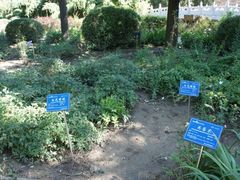 -石家庄市植物园