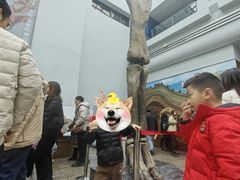 -自贡恐龙博物馆