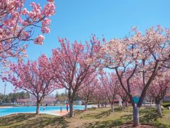 -悦海公园