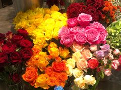 -植物学家的女儿(北马道巷店)