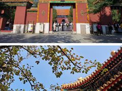 -大海碗·京菜炸酱面(雍和宫店)