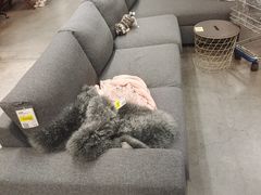 -宜家家居(西安未央商场店)