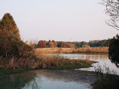 -贡湖湾湿地公园