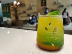 芒果橙香苏打-飞行喵MR PILOT|猫舍·猫咖(静安大融城店)