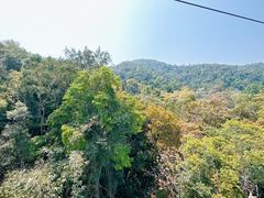 -野象谷景区