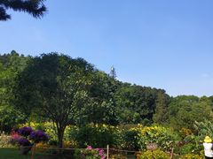 -深圳仙湖植物园-停车场