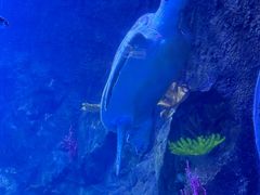 -太平洋海底世界