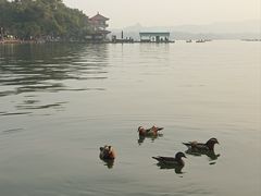 -西湖游船